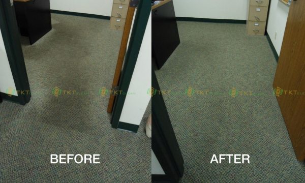 Hóa chất tẩy rửa đa năng Ecosophy Nhật Bản