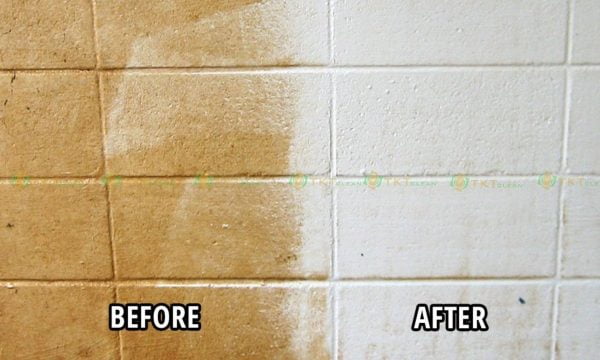 Hóa chất tẩy rửa đa năng Ecosophy Nhật Bản